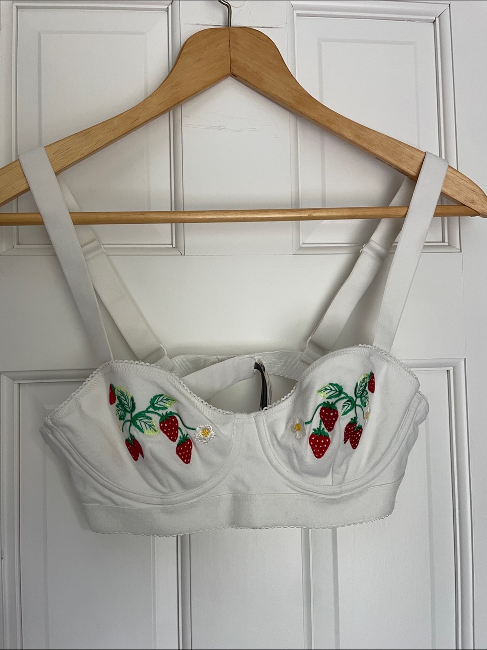 Anthropologie The LyreBird CottonCloud Embroidered Bra.